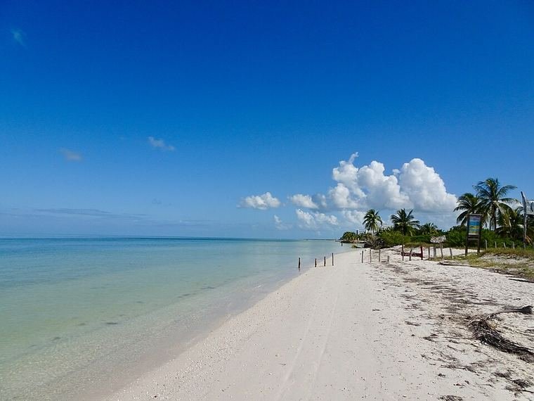 White sand beach lined with palms on Holbox island