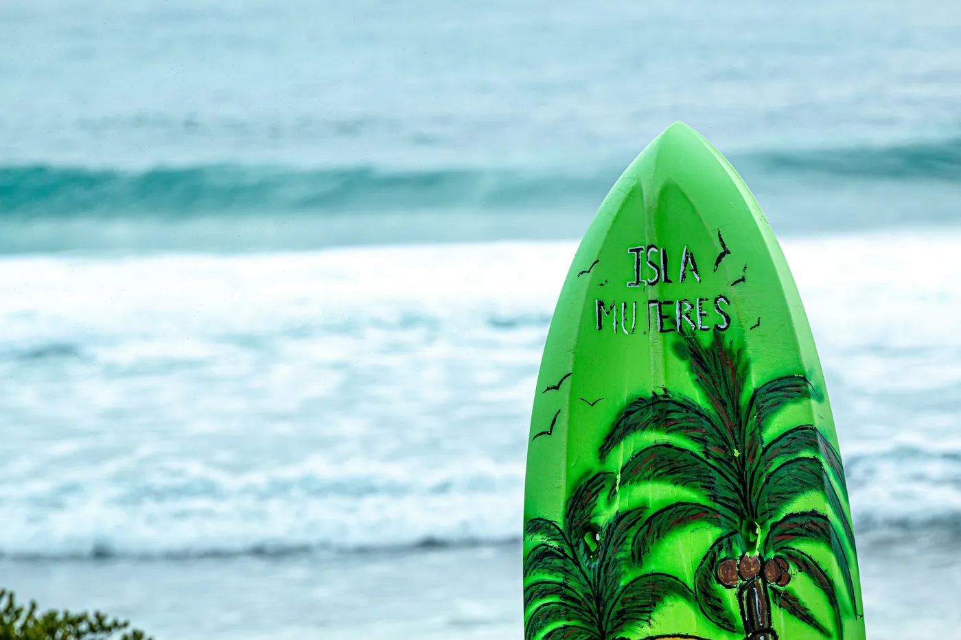 green Isla Muteres surfboard during daytime