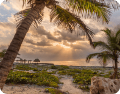 Transporte de Cancún a Puerto Aventuras